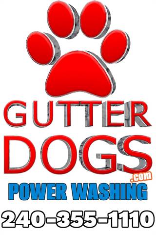 GUTTERDOGS Affordable Soft Power Washing & Safe Roof Cleaning