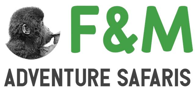 F&M ADVENTURE SAFARIS