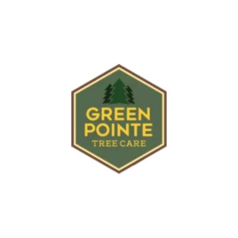 Green Pointe Tree Care