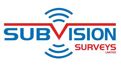 Subvision Surveys