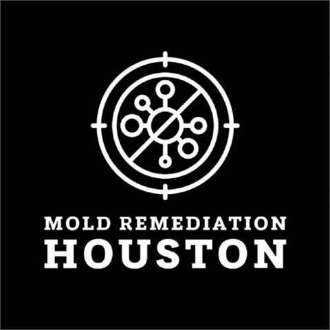 Mold Remediation Houston